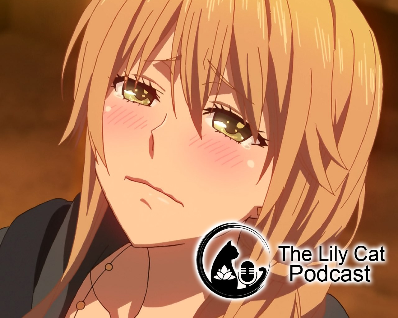 The Lily Cat Podcast Episode 3 – What happened?